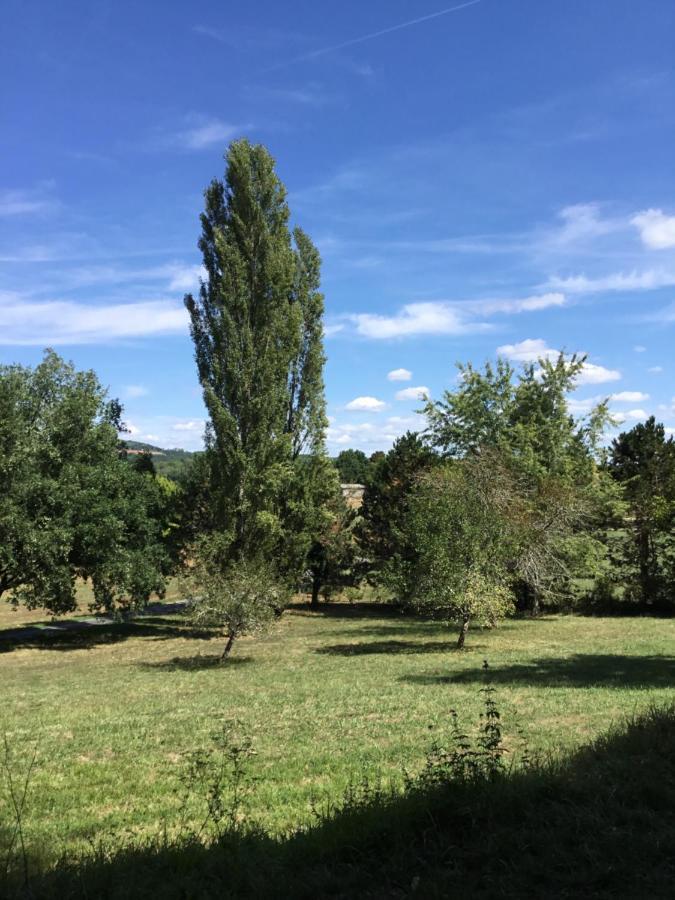 Logis Des 4 Fees Et Son Bain Nordique Villa Sainte-Nathalène Buitenkant foto