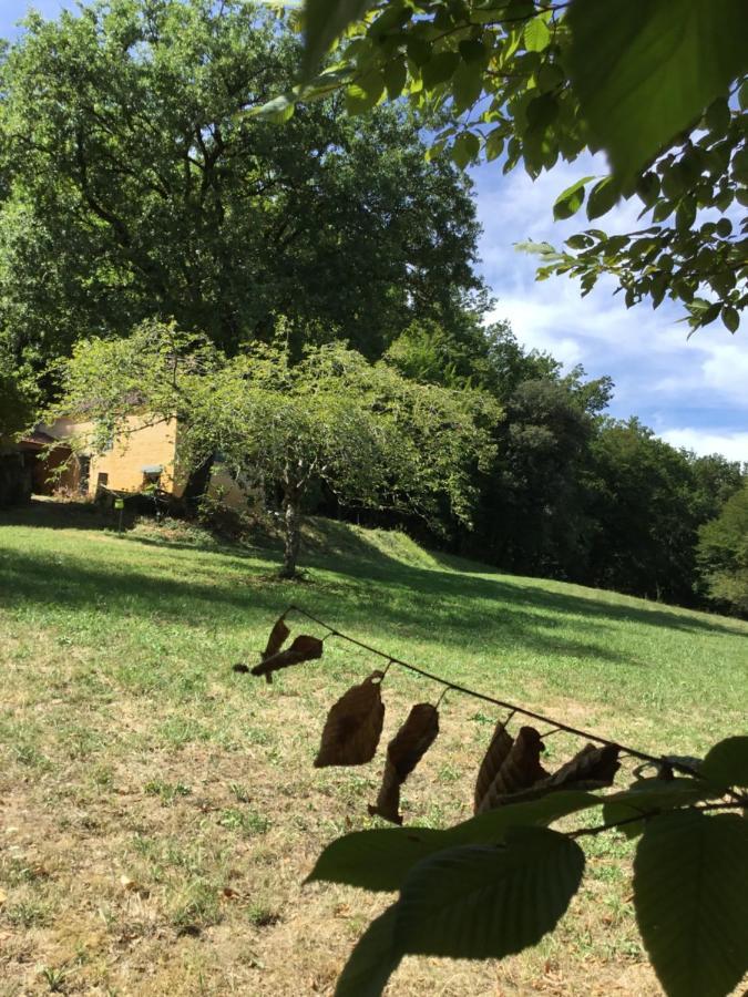 Logis Des 4 Fees Et Son Bain Nordique Villa Sainte-Nathalène Buitenkant foto